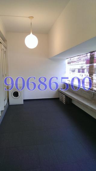 Tiong Bahru Estate (D3), Apartment #105945082